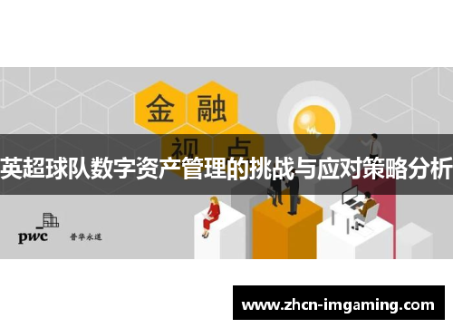 英超球队数字资产管理的挑战与应对策略分析