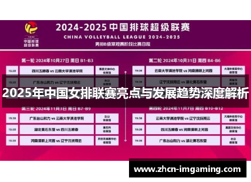 2025年中国女排联赛亮点与发展趋势深度解析