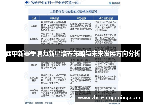 西甲新赛季潜力新星培养策略与未来发展方向分析